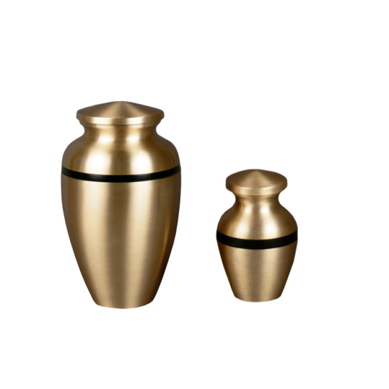 Trojan - Grecian with Black Stripe (Adult) Trojan - Grecian with Black Stripe (Adult)