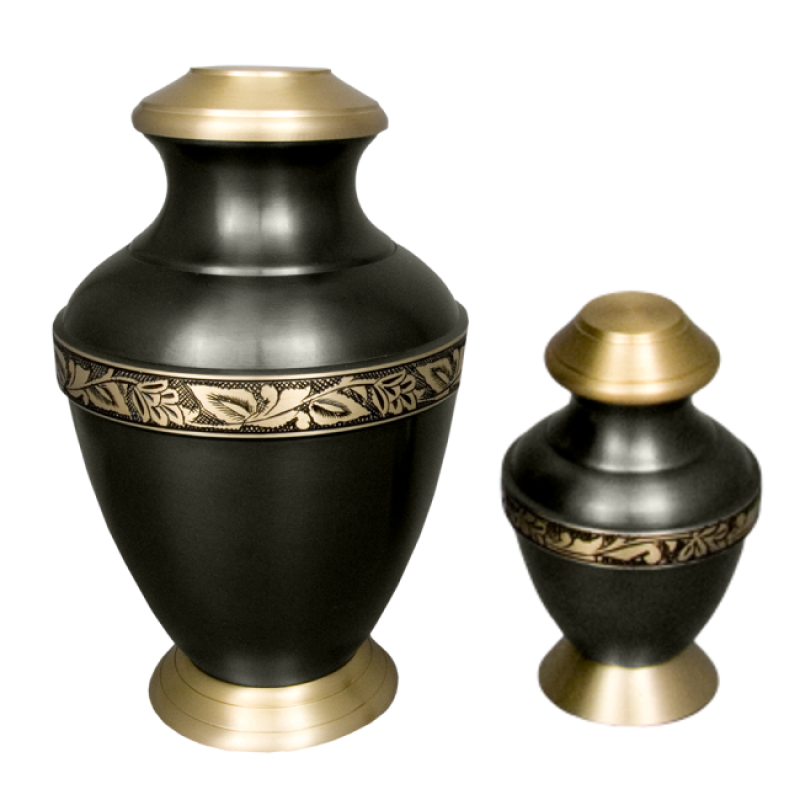 Roman II - Gunmetal w/Etched Bronze Band and Goldtone Top and Base (Adult)