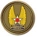Arnold Air Society Medallion Arnold Air Society Medallion