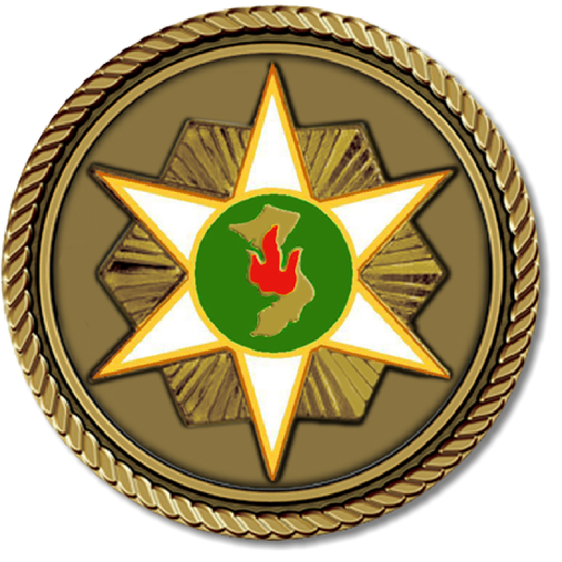 Vietnam Gallantry Medallion