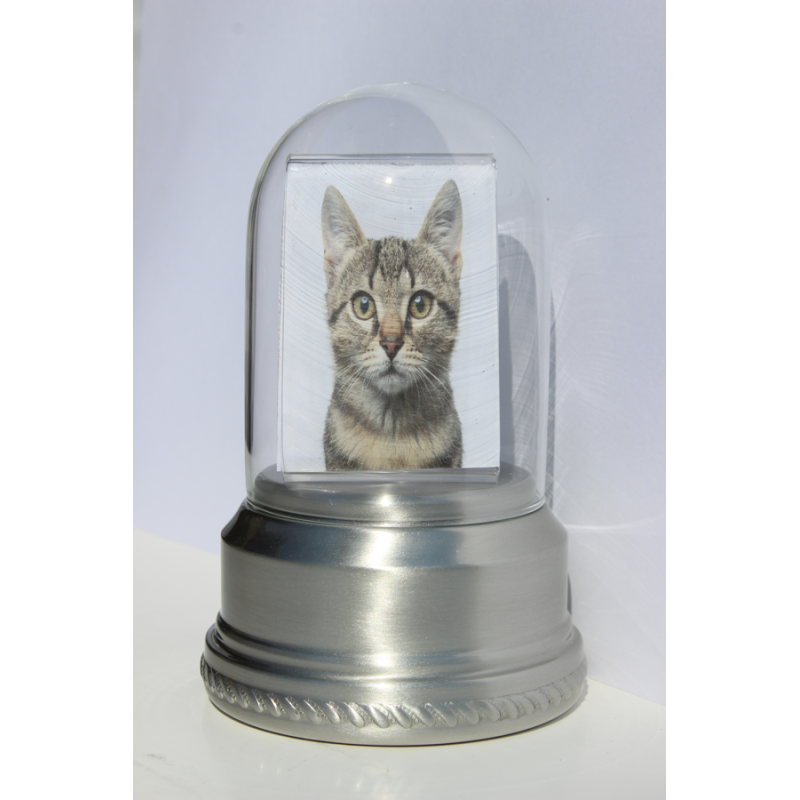 Iris Keepsake Pewter Small Photo Pet Cremation Urn 302