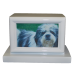 Photo Pet Urn - White Finish