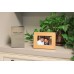 Pewter Finish Beaumont Box (Large/Adult)