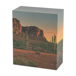 Scattering Urn Desert Dusk Large/Adult