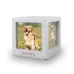 Silver Photo Cube Urn