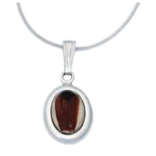 Small Oval Pendant - Pet