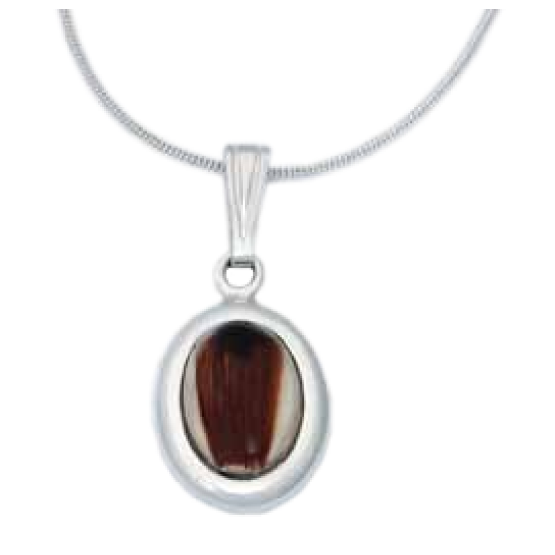 Small Oval Pendant - Pet