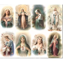 Queen of Heaven- 8 UP