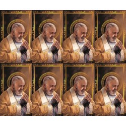 Padre Pio- 8 UP