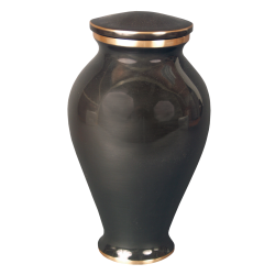 Midnight - Contemporary Bronze with Ebony and Gold Accents (Adult)