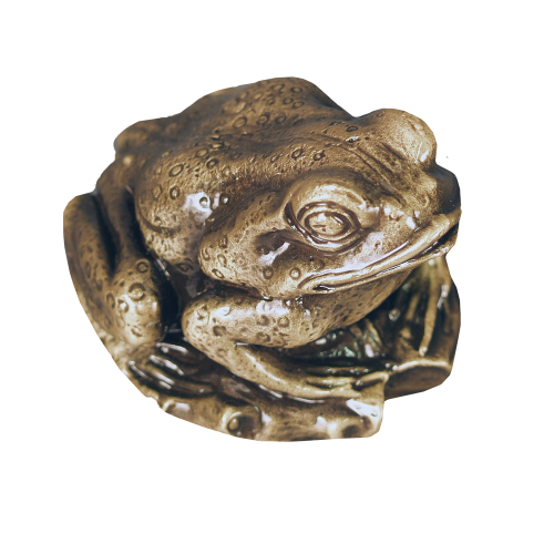 Frog - Lost Wax Bronze
