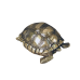 Turtle - Lost Wax Bronze
