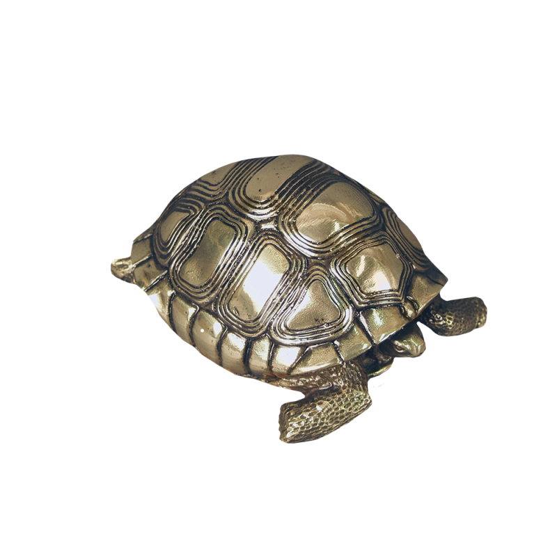 Turtle - Lost Wax Bronze