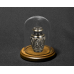 Vista - Glass Dome w/ Walnut Base Vista - Glass Dome w/ Walnut Base