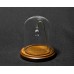 Vista with Wire - Glass Dome w/ Walnut Base and Wire for Display Vista with Wire - Glass Dome w/ Walnut Base and Wire for Display