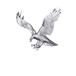 American Eagle - Silver