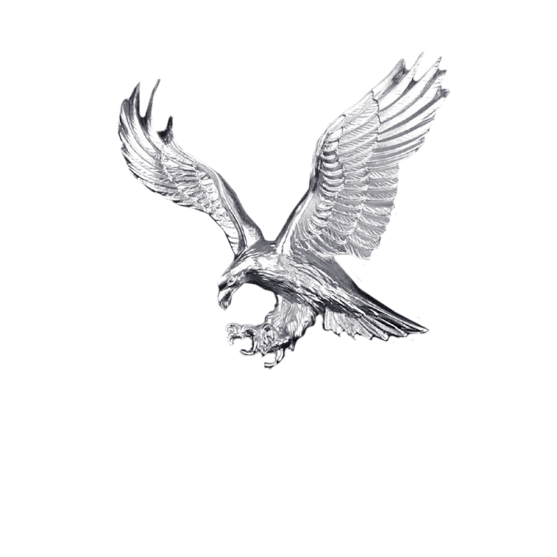 American Eagle - Silver