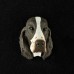 Springer Spaniel (liver) 3D Pet Head Cremation Urn Applique