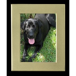 Cremation Photo Frame, Large Gold Rectangle Cremation Photo Frame, Large Gold Rectangle