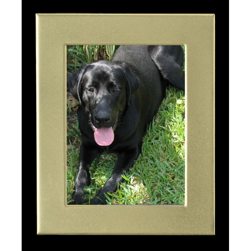 Cremation Photo Frame, Large Gold Rectangle