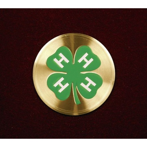 4-H Club, Urn Applique