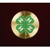4-H Club, Urn Applique 4-H Club, Urn Applique